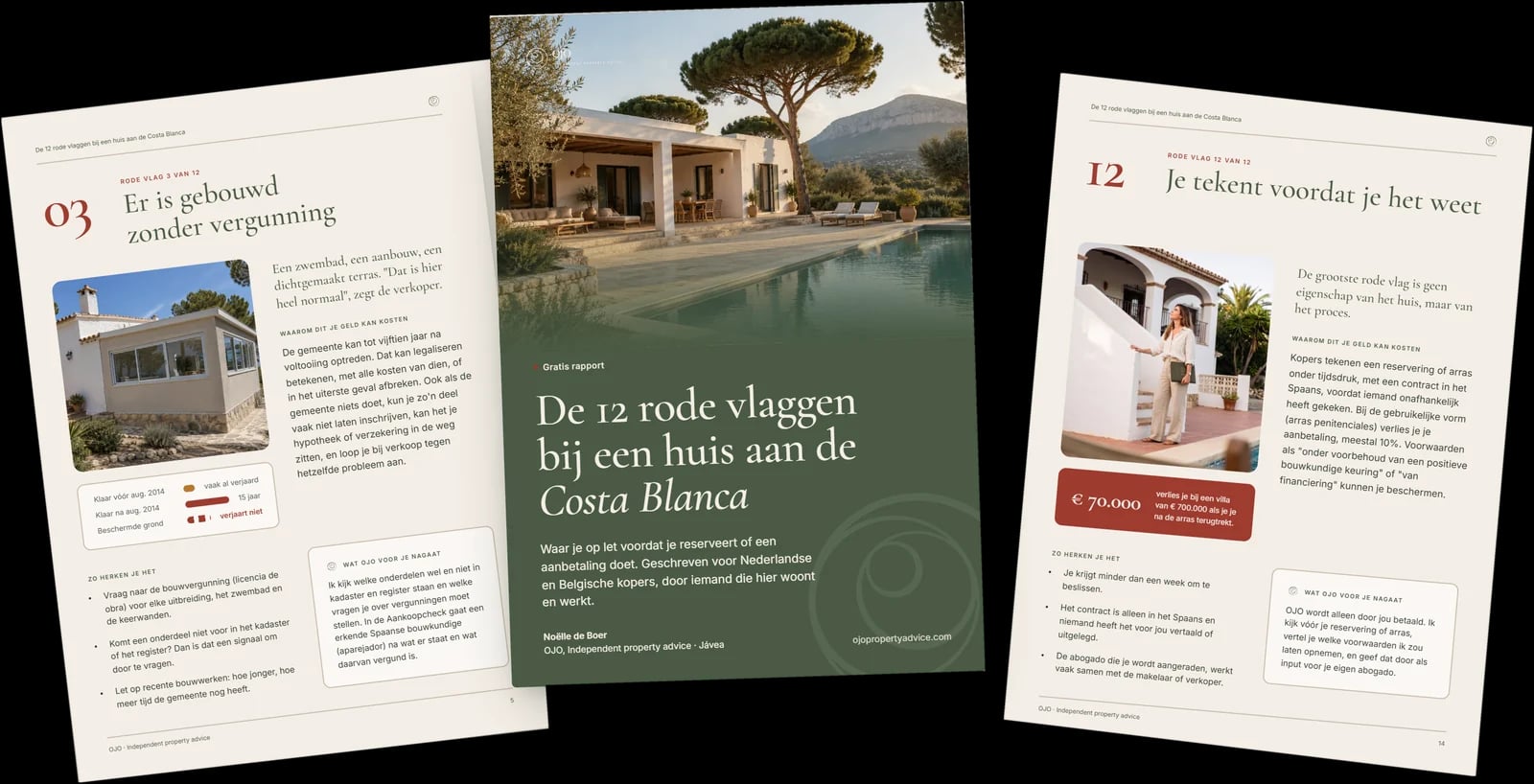 Drie pagina's uit het gratis rapport De 12 rode vlaggen